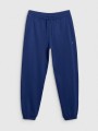 Spodnie Joggery 4F granatowy