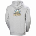 Bluza HH CORE GRAPHIC HOODIE