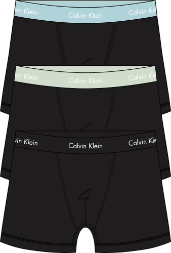 Bielizna CK  TRUNK 3P