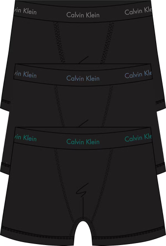 Bielizna CK  TRUNK 3P