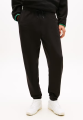 Spodnie TJM REG LINEAR SWEAT