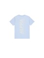 Koszulka Alpha Industries Backprint T Artic Blue