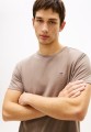 Koszulka TJM XSLIM JASPE HTR TEE EXT IVY MINK