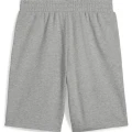 Spodenki PUMA ESS 2 COLOR No. 1 Logo Shorts 10"