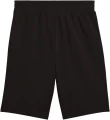 Spodenki PUMA ESS 2 COLOR No. 1 Logo Shorts 10"