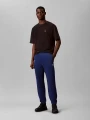 Spodnie Calvin Klein TERRY MONOGRAM JOGGER Estate