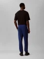 Spodnie Calvin Klein TERRY MONOGRAM JOGGER Estate